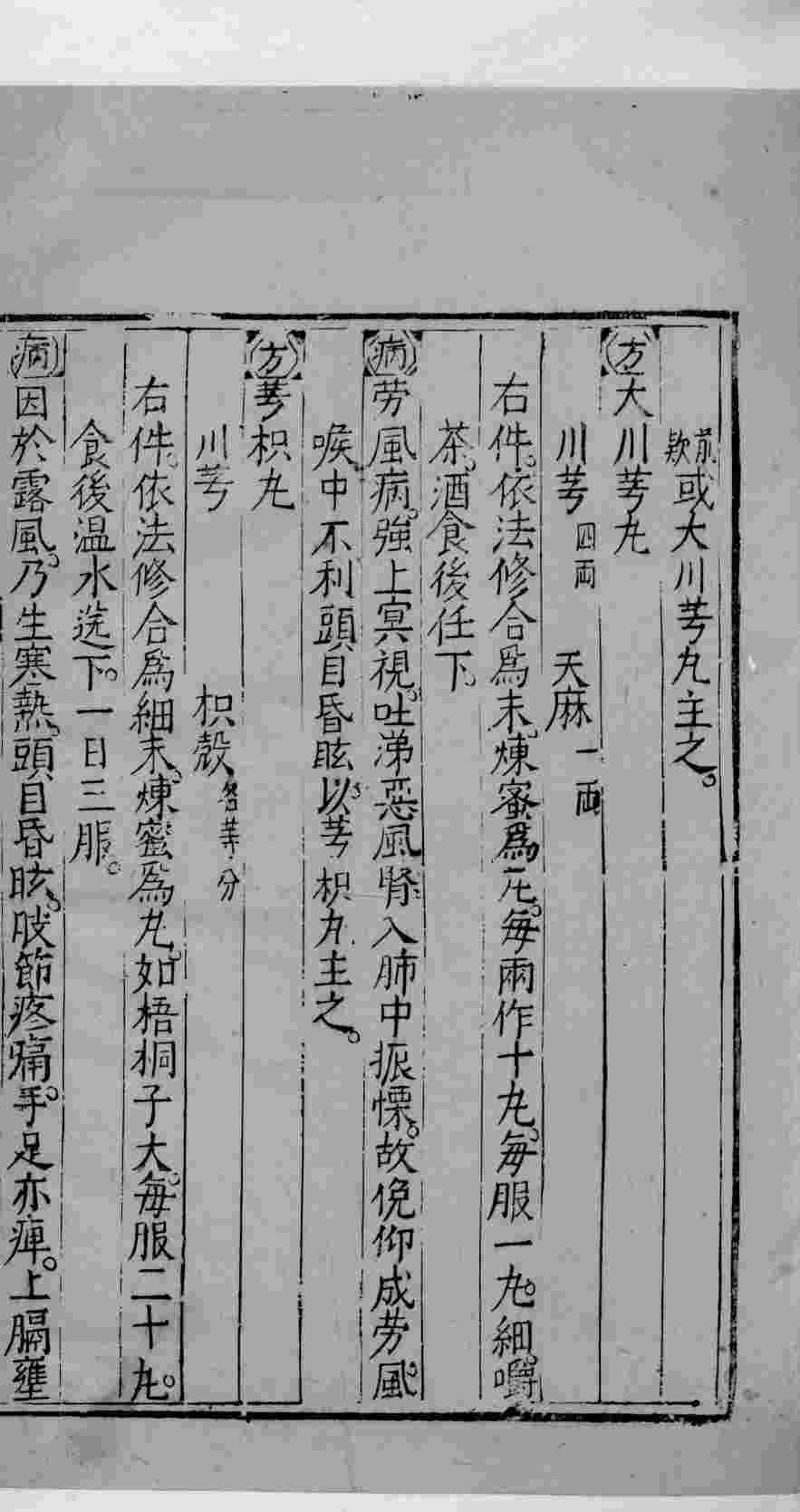 杏苑生春  11